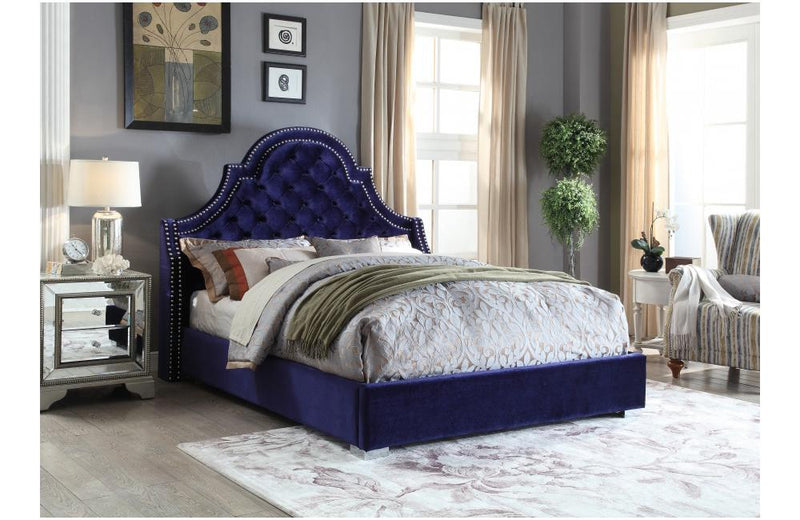 Dagwood Navy Bed