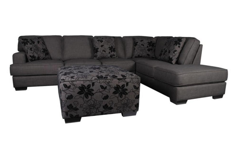 Baruch Sectional Sofa 2PC Set