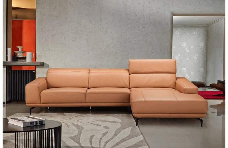 Janelle Premium leather Sectional Sofa