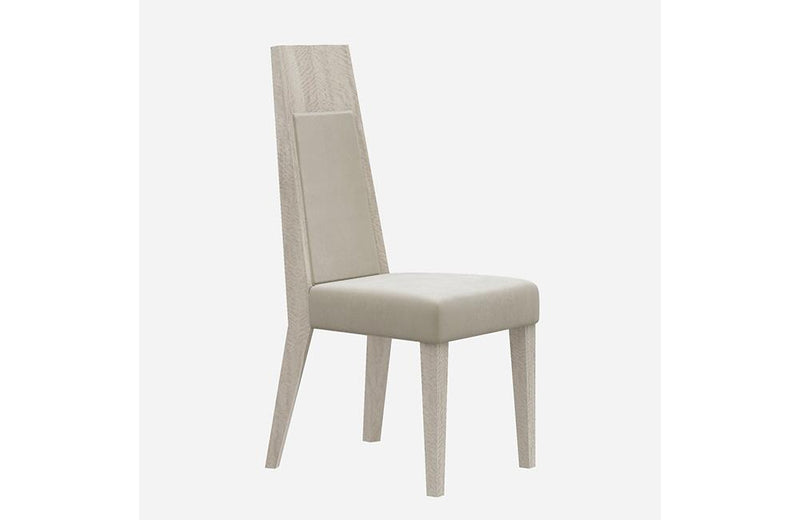 Issac Modern Dining Chair