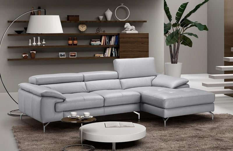 Thomas Leather Sectional Sofa