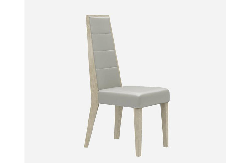 Braelyn Modern Dining Chair