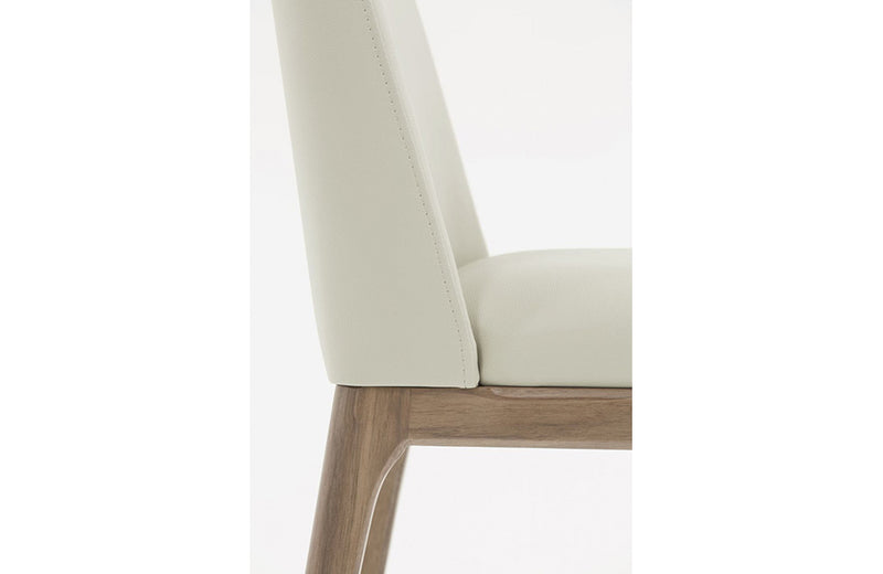 Modrest Encino Modern Grey & Walnut Dining Chair (Set of 2)