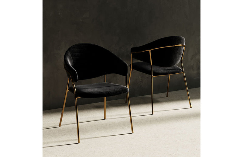 Modrest Trevor Modern Black Velvet & Gold Dining Chair (Set of 2)